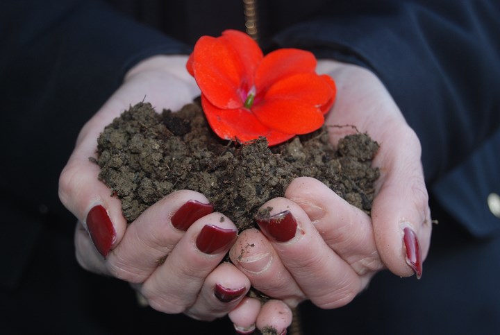 11  Noviembre GabrielPayano2BC (Copy)